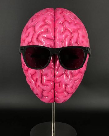 The Brain helmet mask with glasses